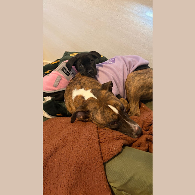 Photo of Maggie