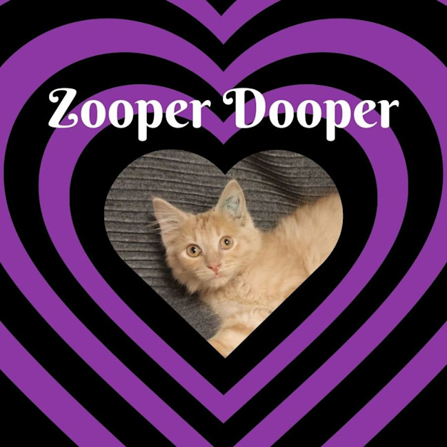 Photo of Zooper Dooper