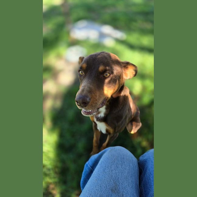 Photo of Max