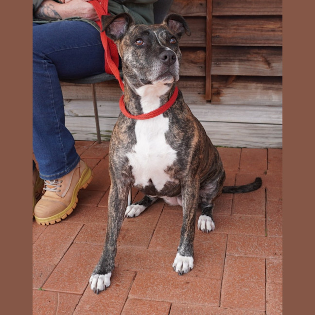 Photo of Della