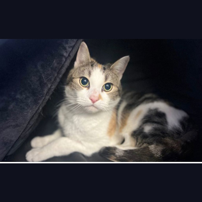 Photo of Isadora