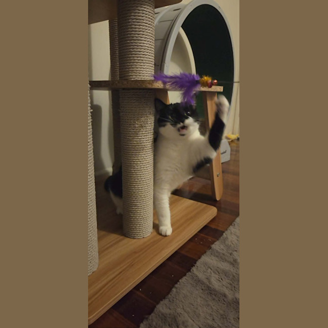 Photo of Angel