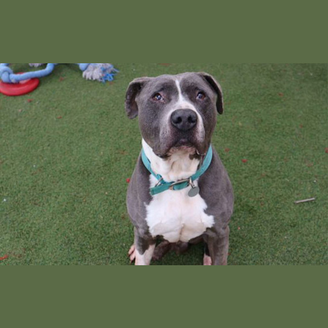 Photo of Jax