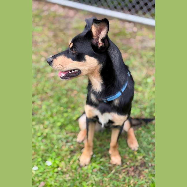 Photo of Kaia