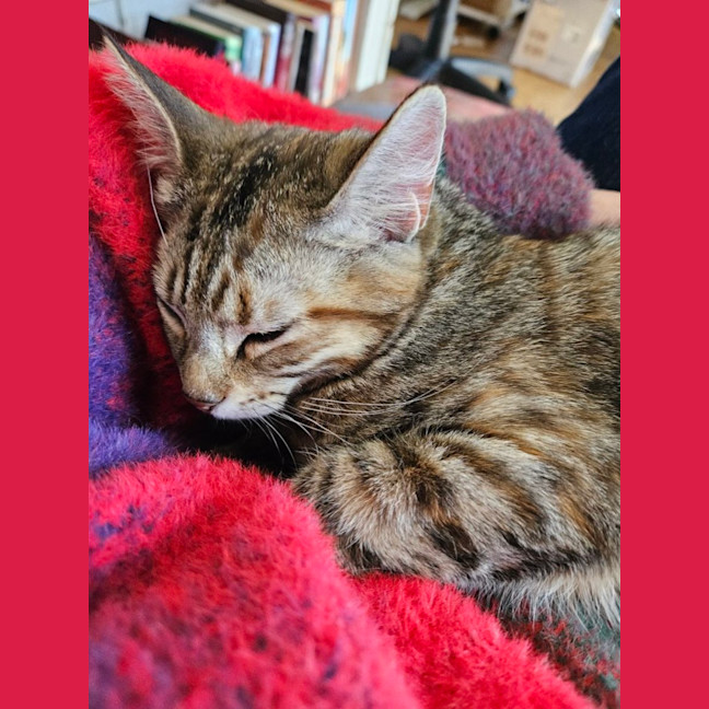 Photo of Shirley