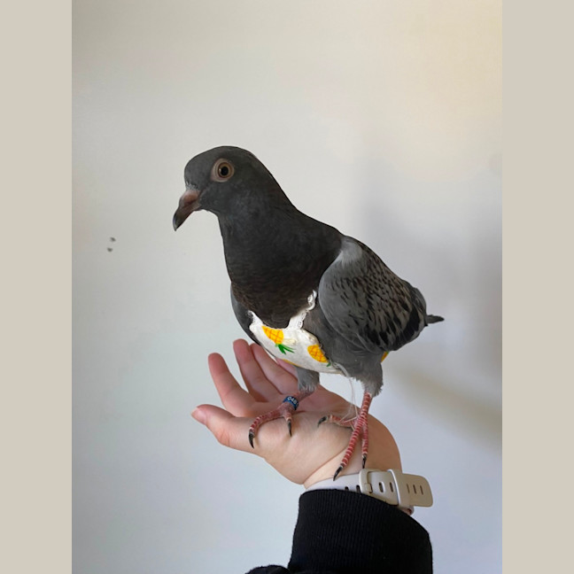 Photo of Vacuum Cleaner