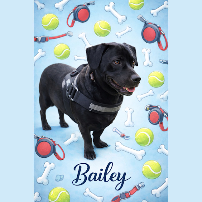 Photo of Bailey