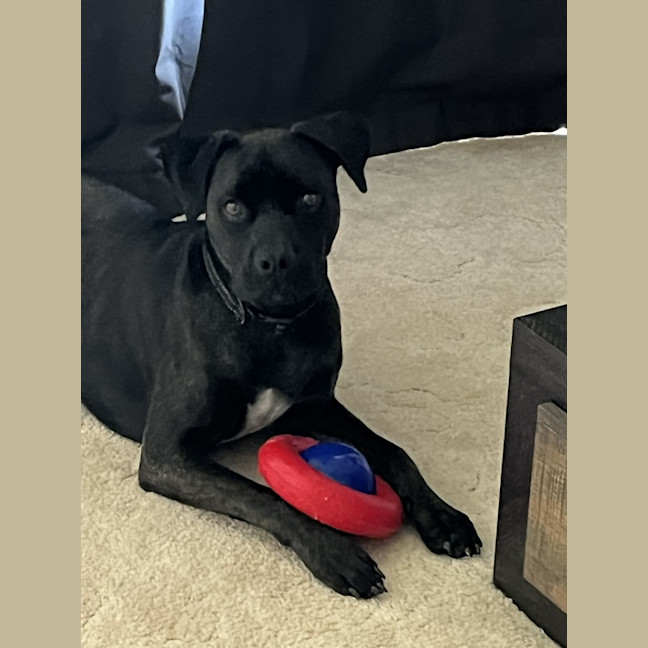 Photo of Zeus