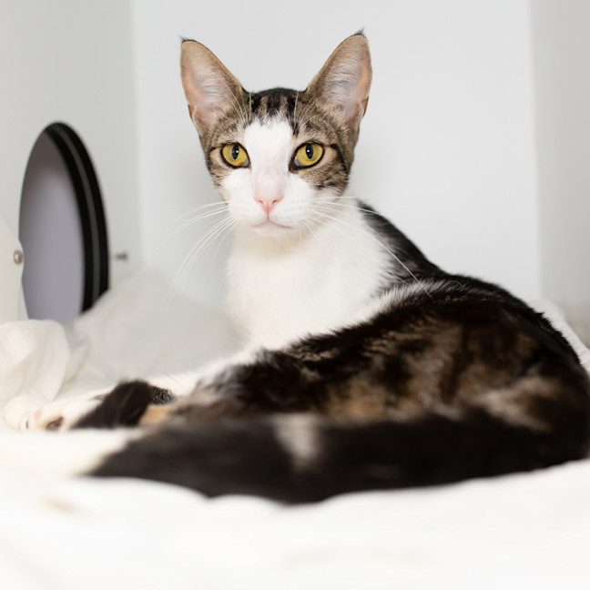 Photo of Percy