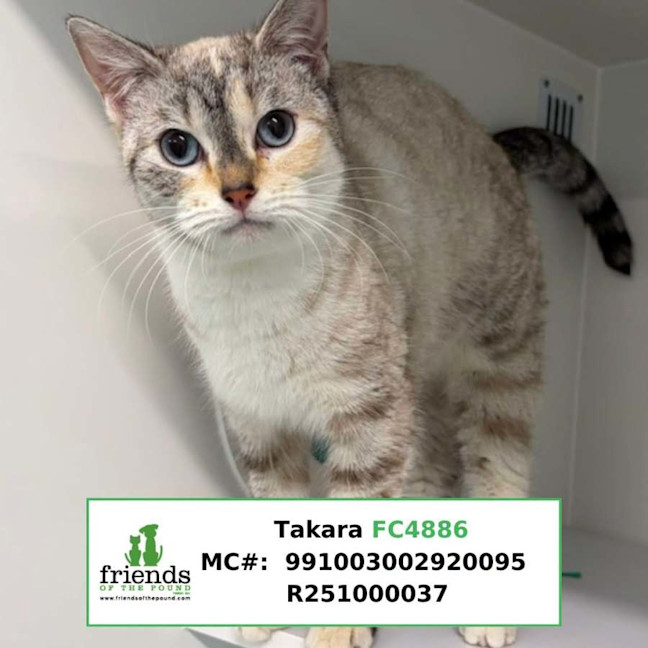 Photo of Takara