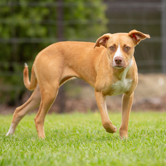Photo of Cali