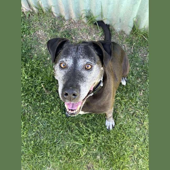 Photo of 🐻 Buster 6375 🐻