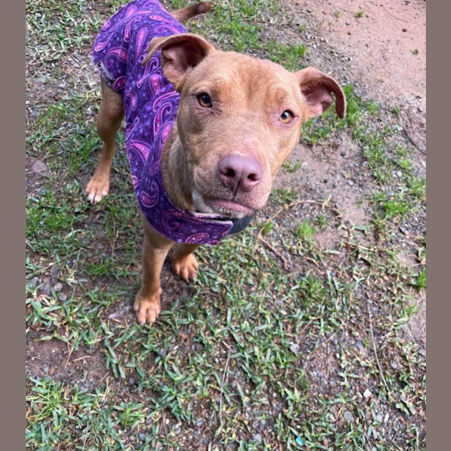 Photo of Maisy