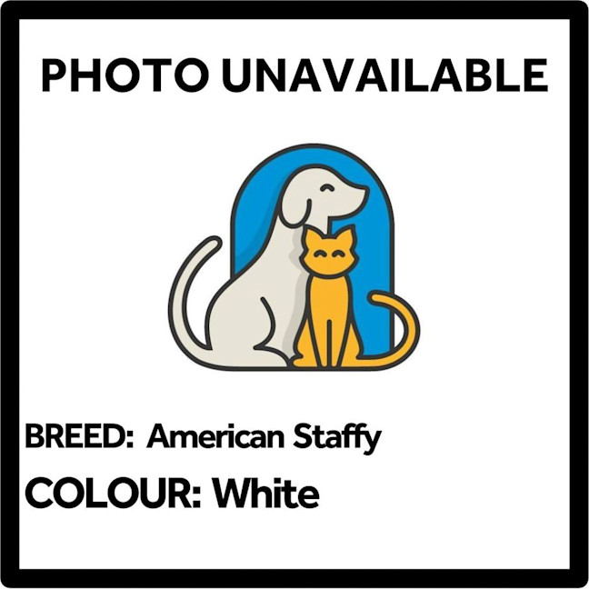 Photo of Daisy