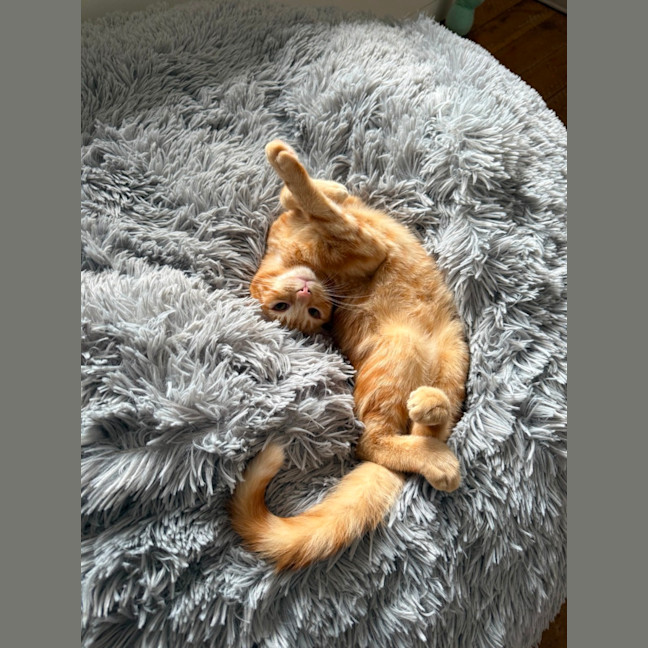 Photo of Rodger