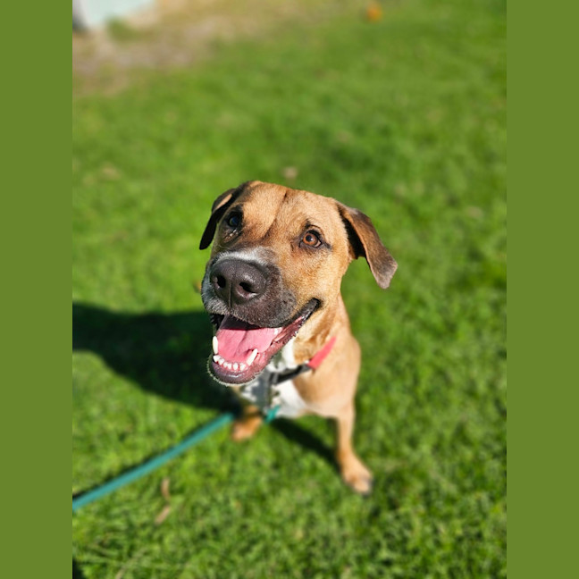 Photo of Taco