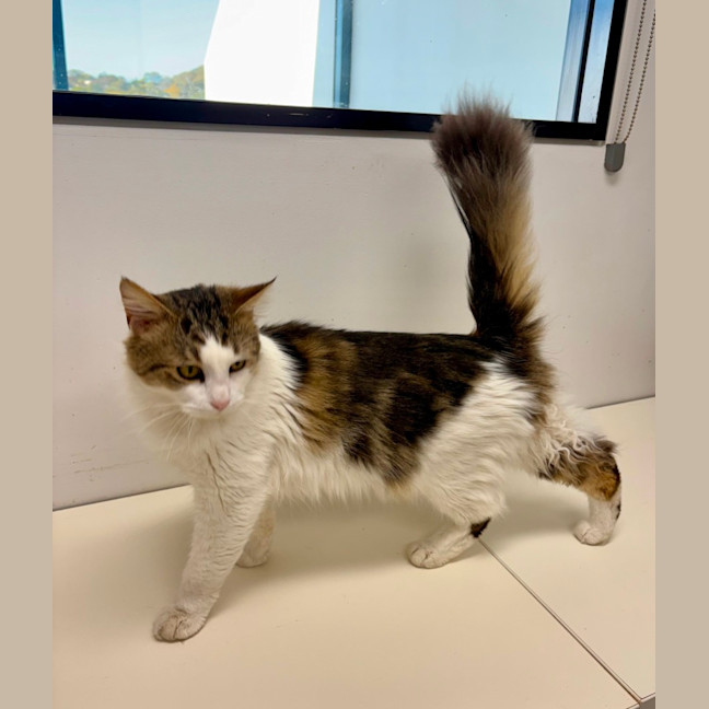 Photo of Oliver 