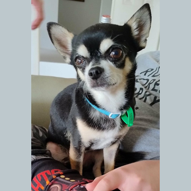 Photo of Jay Jay
