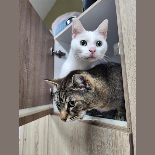 Photo of 🫶 Rudy 6712 🫶