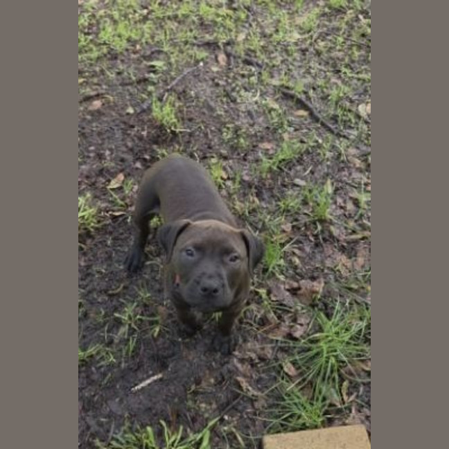 Photo of Hershey