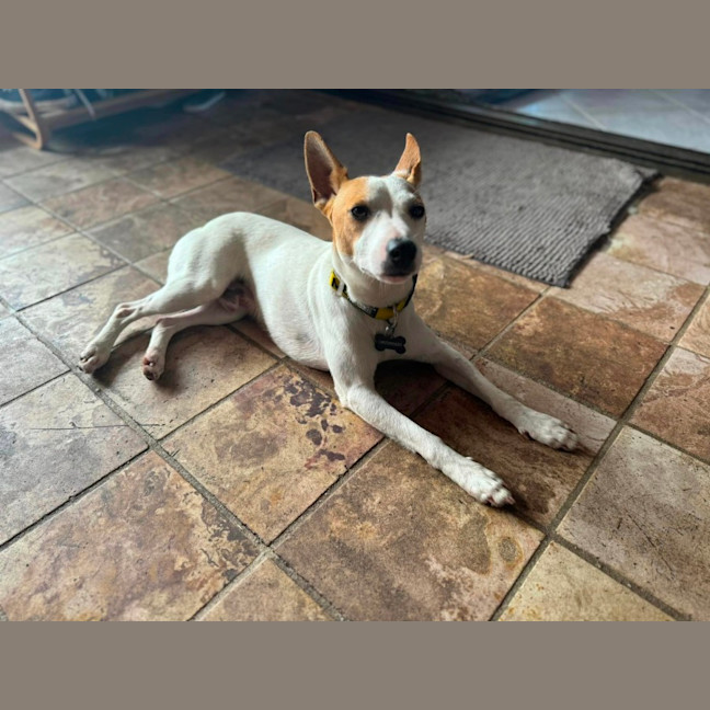 Photo of Zeek