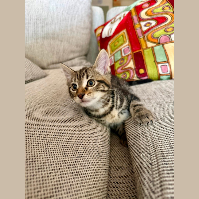 Photo of Spike