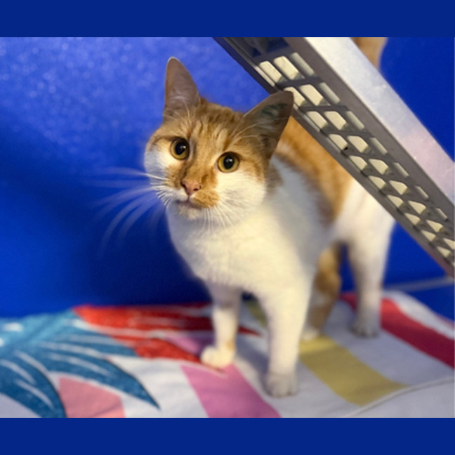 Photo of Matilda