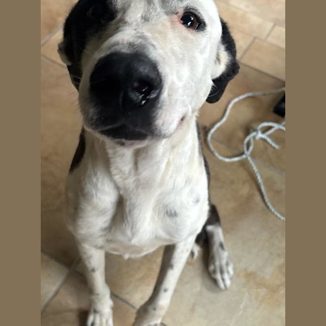 Photo of Storm