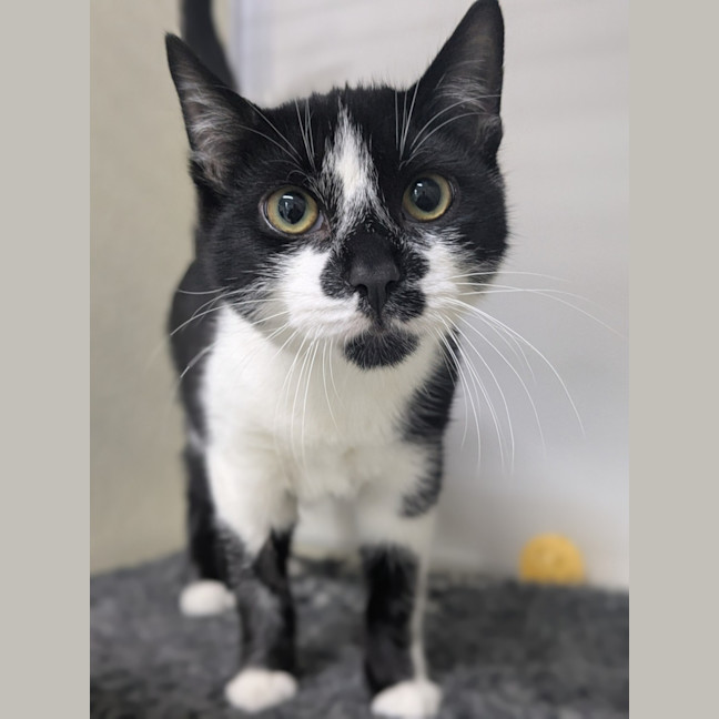 Photo of 🌵 Jeremiah 6268 🌵