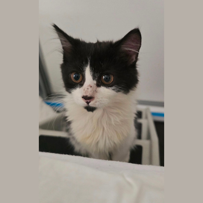 Photo of Zoe