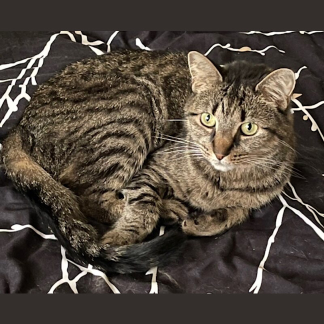 Photo of Abby