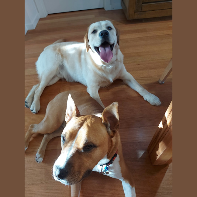 Photo of Jeffrey 'Good Boy' Jones