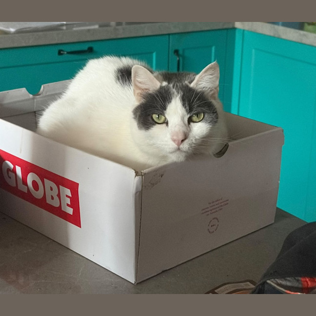 Photo of Kiki