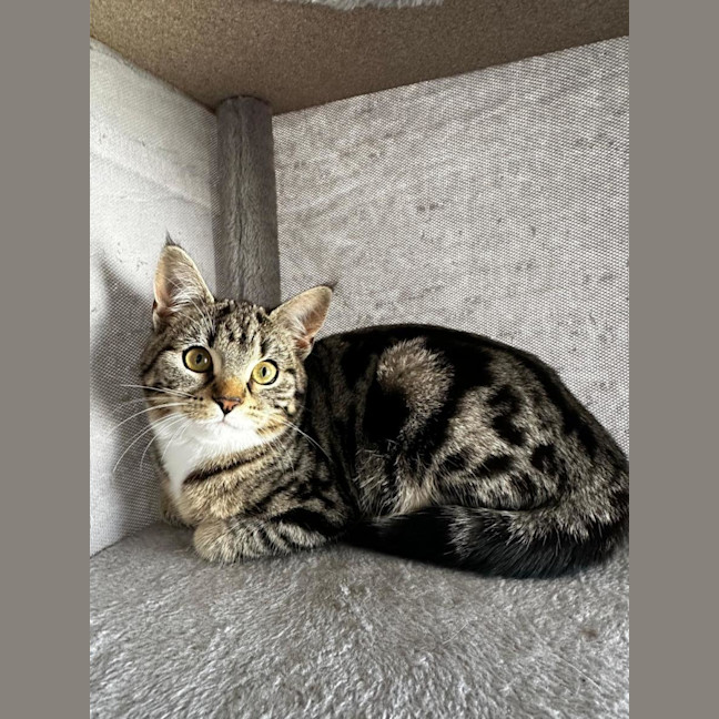 Photo of Angelette