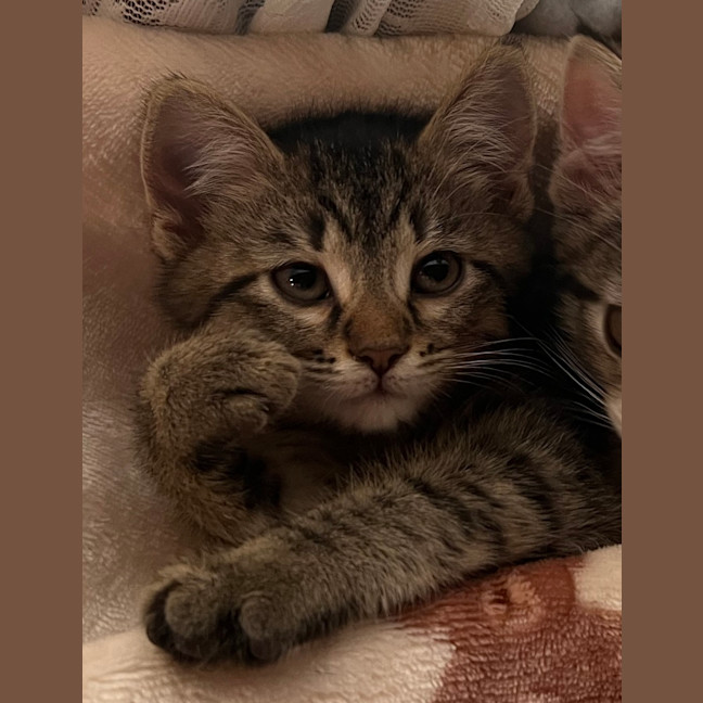 Photo of Theo