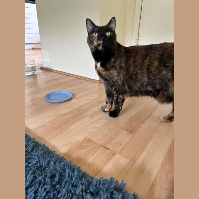 Photo of Lucy