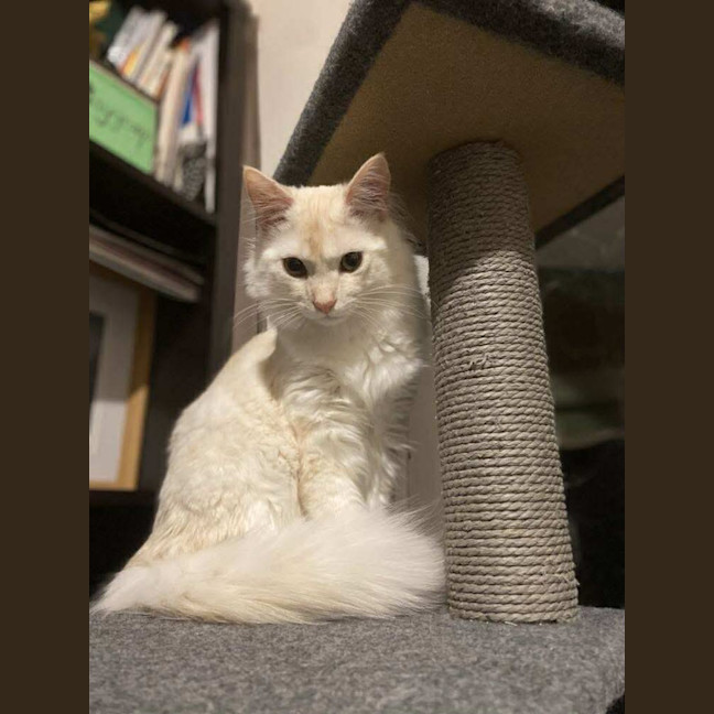 Photo of Mr Wimberley 