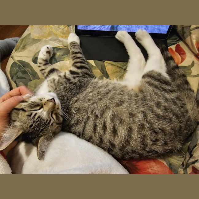 Photo of Truffle & Faun 