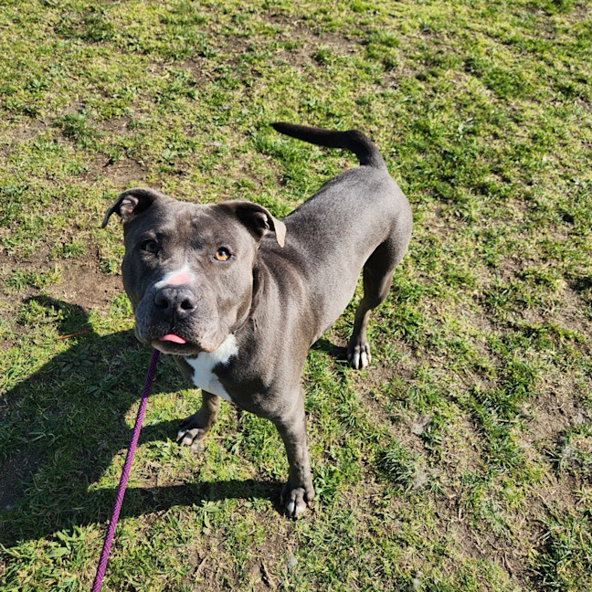 Photo of Bear (66738)