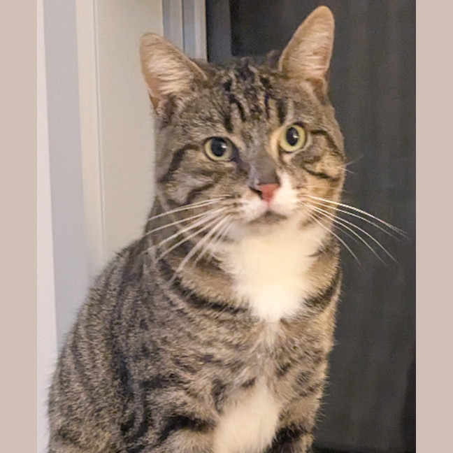 Photo of Louie