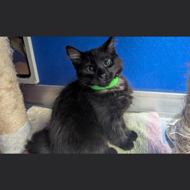 Photo of Ernie