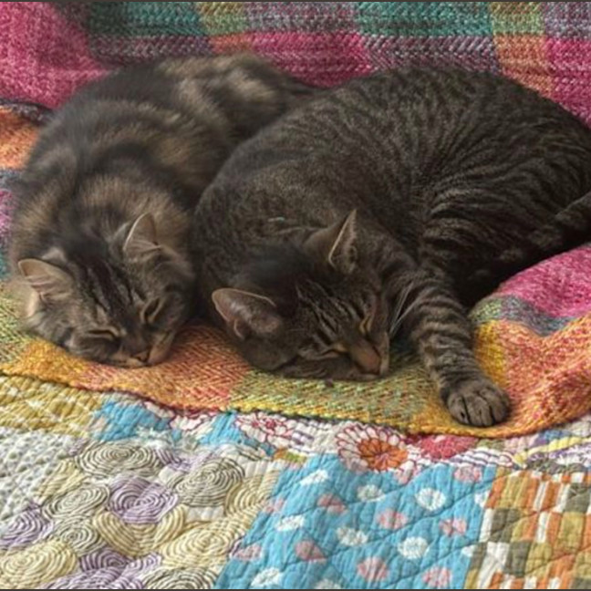 Photo of Bessie & Patch