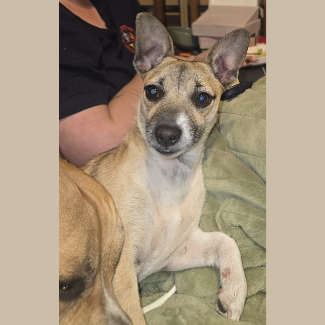 Photo of Roxy