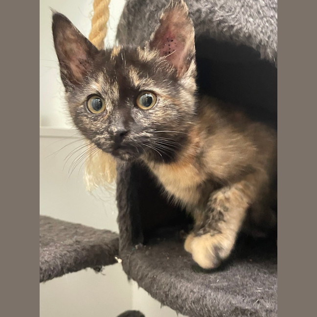 Photo of Olivia