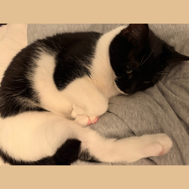 Photo of Shiyi