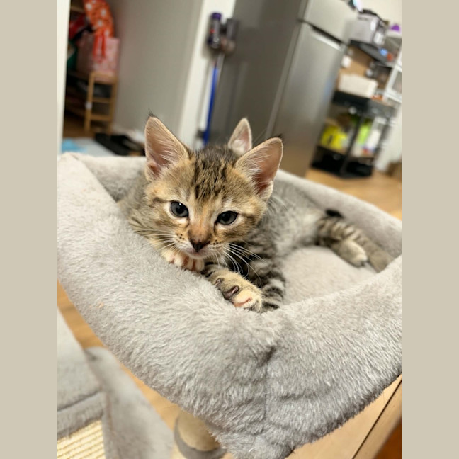 Photo of Mitzi