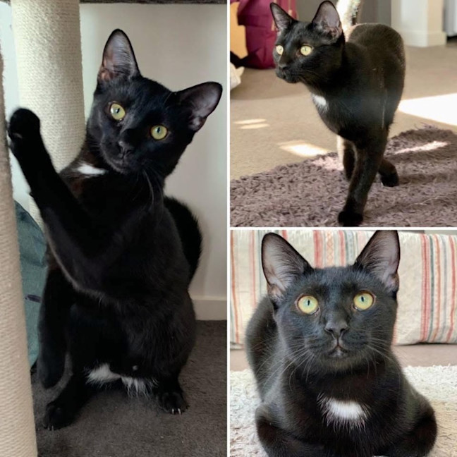 Photo of 11683   Manny