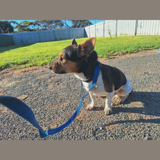 Photo of Maxi 