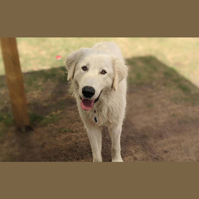 Photo of Belle