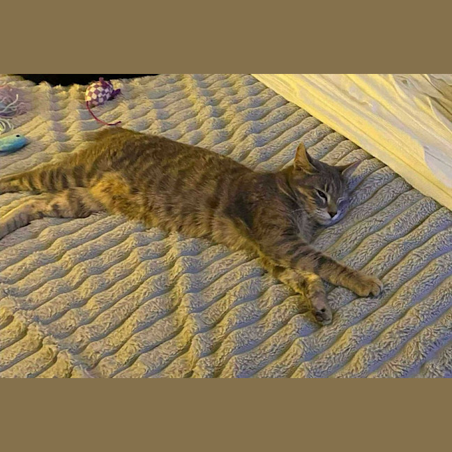 Photo of Mia